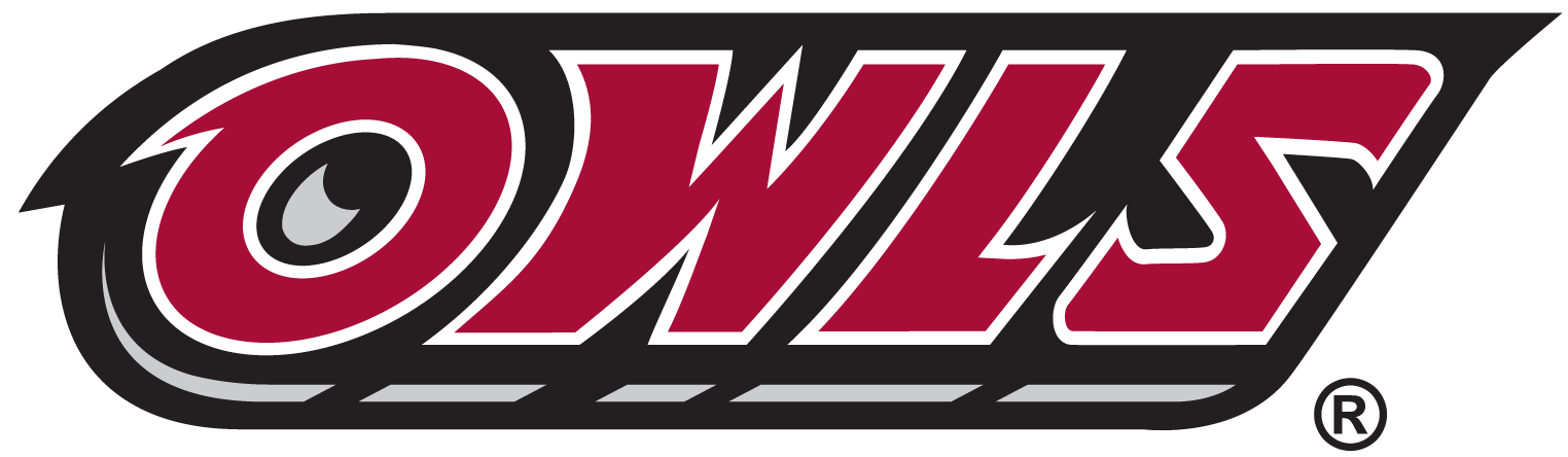 Temple Owls 1996-Pres Wordmark Logo iron on transfers for clothing
